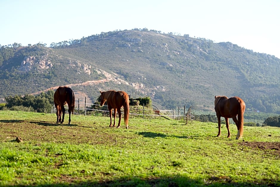 Quinta Da Samoqueirinha