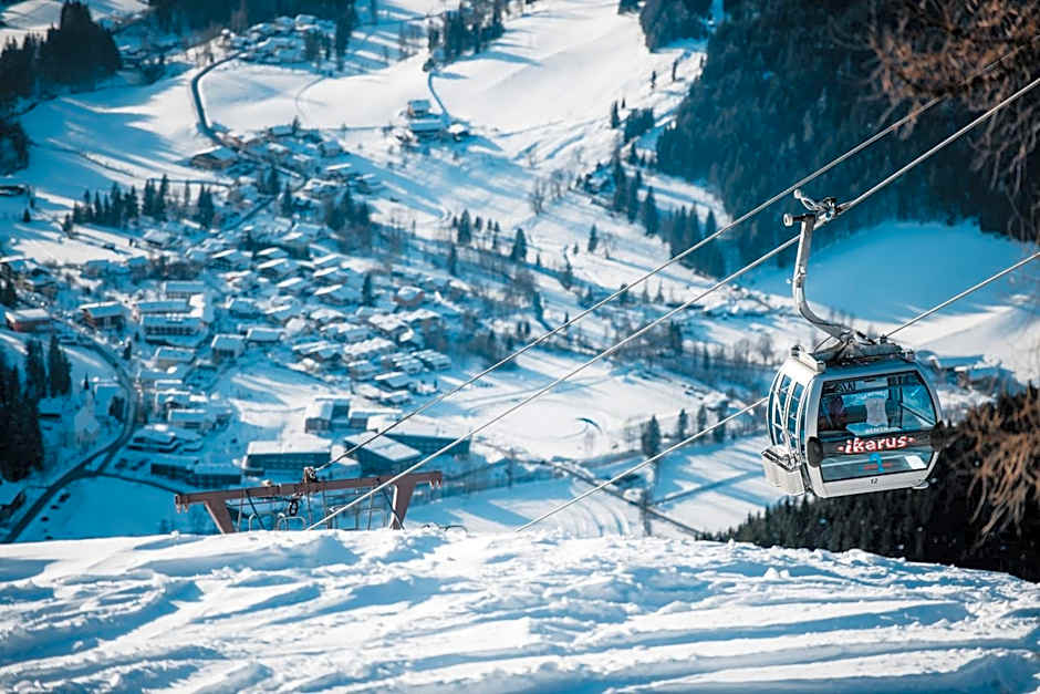 Apart Hotel Alpenhof Werfenweng