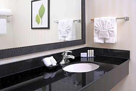 Suite, 1 King Bed with Sofa bed (1 King Bed and 1 Double Sofa Bed)