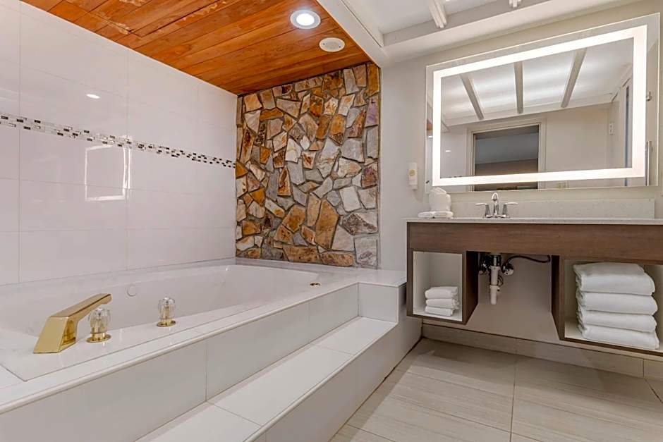 Comfort Inn & Suites Clemson - University Area