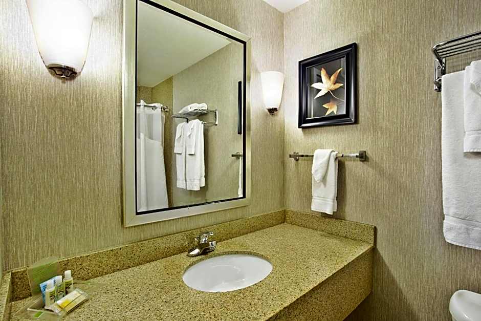 Holiday Inn & Suites Green Bay Stadium by IHG