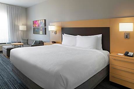 King Studio with Sofa Bed and City View - Mobility and Hearing Accessible with Roll-in Shower