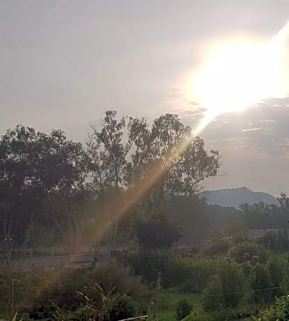 Double Room with Garden View