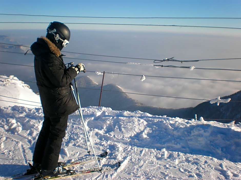 Hotel Krona Domžale