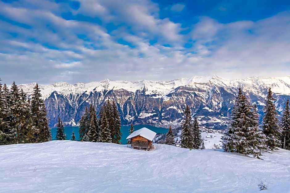 Hotel Brienz