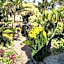 See More Guest House