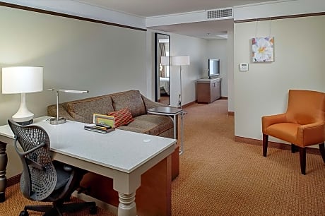 Junior King Suite with Sofa Bed - Non-Smoking