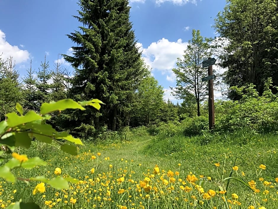 Berghotel Talblick