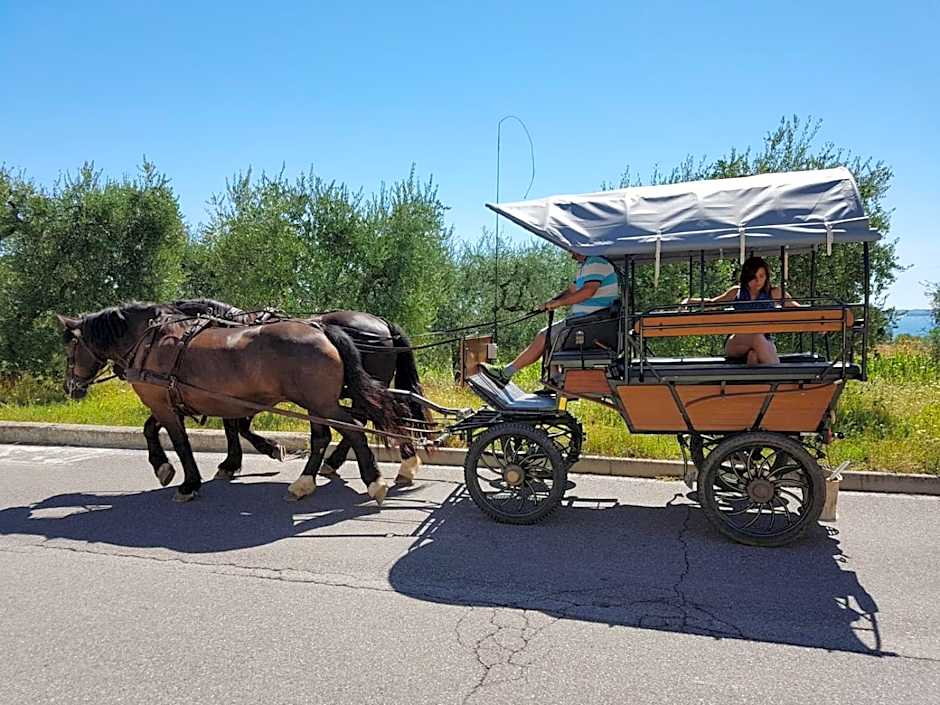 Lamasu RioVerde - Lago di Garda
