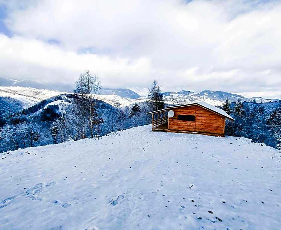 Cabana doi mesteceni