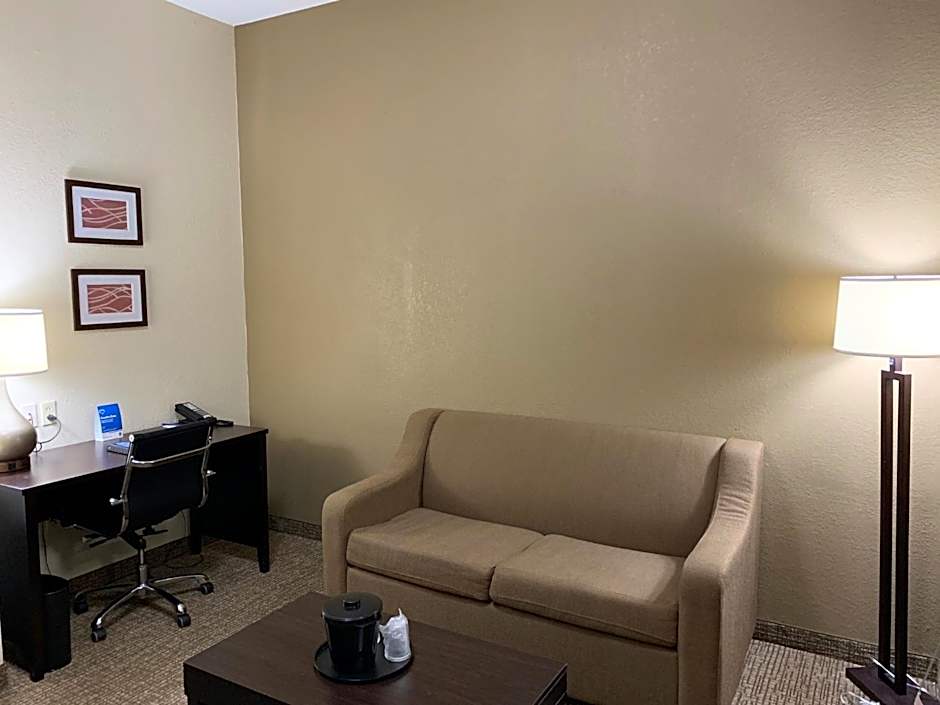 Comfort Inn & Suites Atlanta/Smyrna