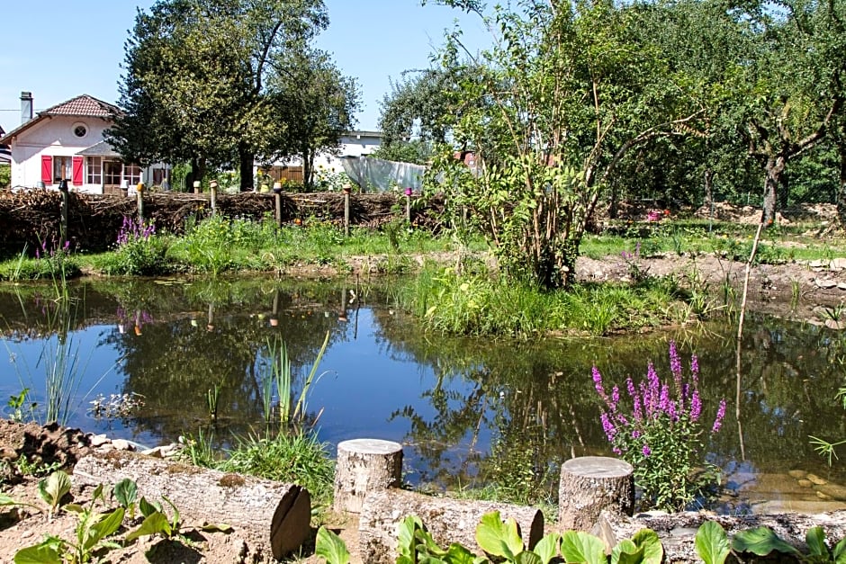 Chambres d'hôtes Domaine des Iris