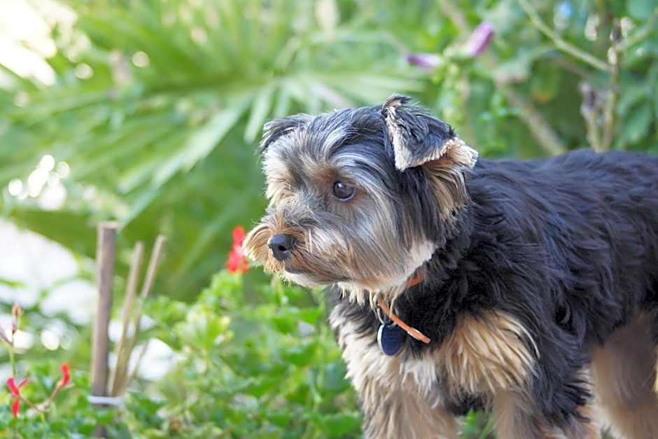 La Bastide de l'Olivier