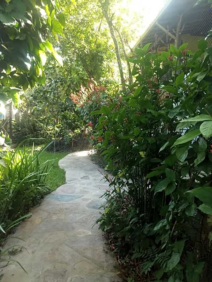 Pousada Casa Viva a Vida