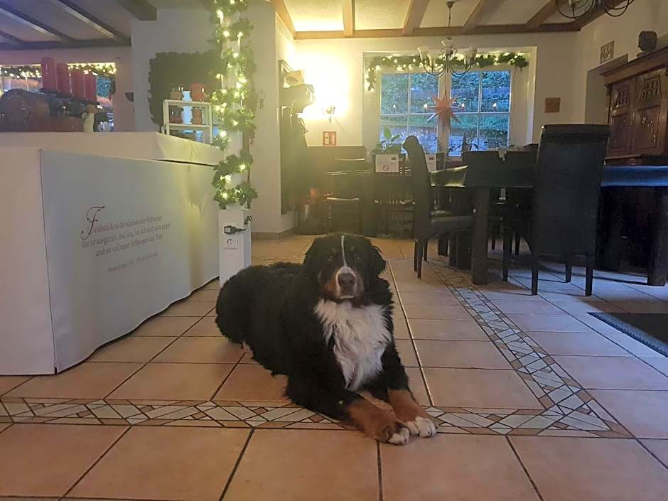 Hotel Herberge zur Traube