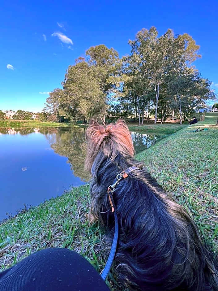 Casa condomínio Ninho Verde l