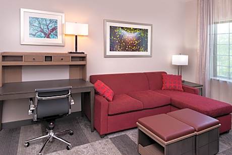 1 King 1 Bedroom Suite Comm Accessible Sofa Bed