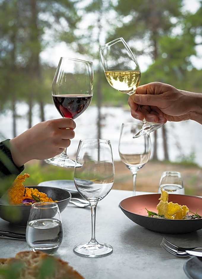 Wilderness Hotel Juutua