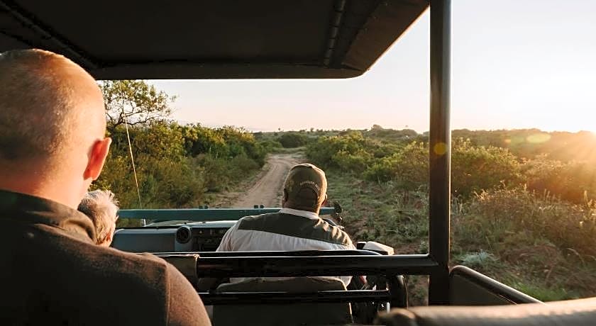 Bukela Game Lodge - Amakhala Game Reserve