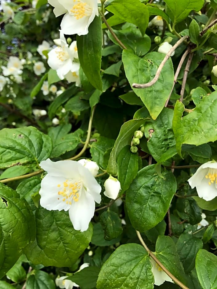 Field End House Strawberry Lane Meysey Hampton