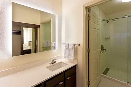 Suite, 1 Bedroom (1 Queen Bed and 1 Double Sofa Bed)