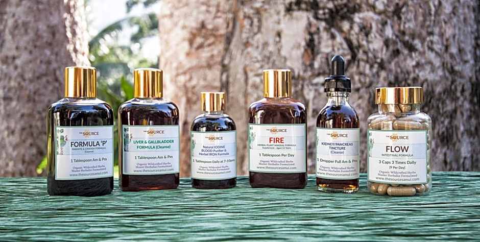 The Source Herbal Detox Retreat