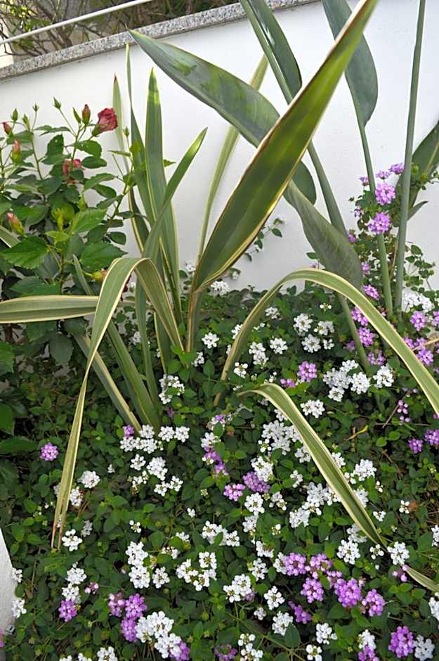 Bed and breakfast Villa Tota