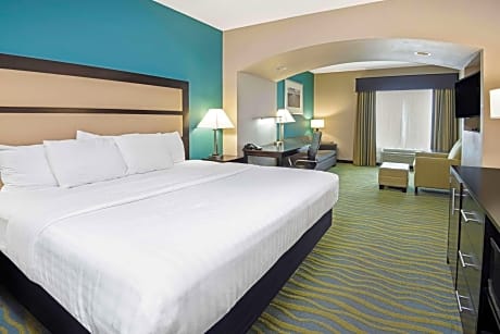 1 King Bed Non-Smoking