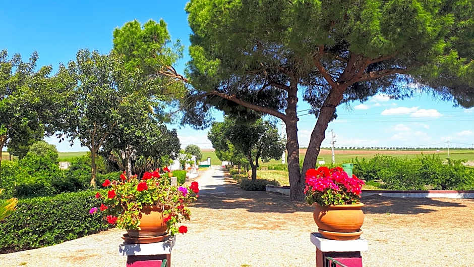 Monte da Floresta B&B