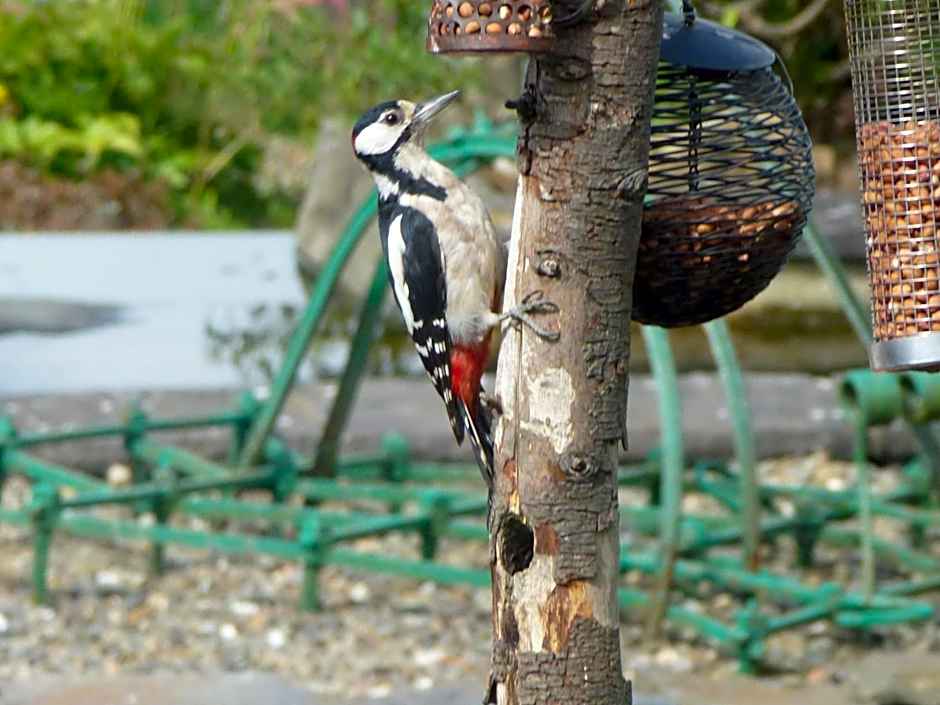 Ael y Bryn Luxury B&B, North Pembrokeshire