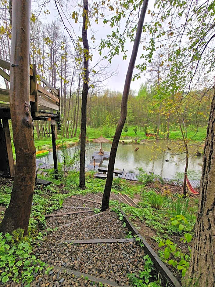 Gospodarstwo Agroturystyczne Borówkowy Bukiet Smaków