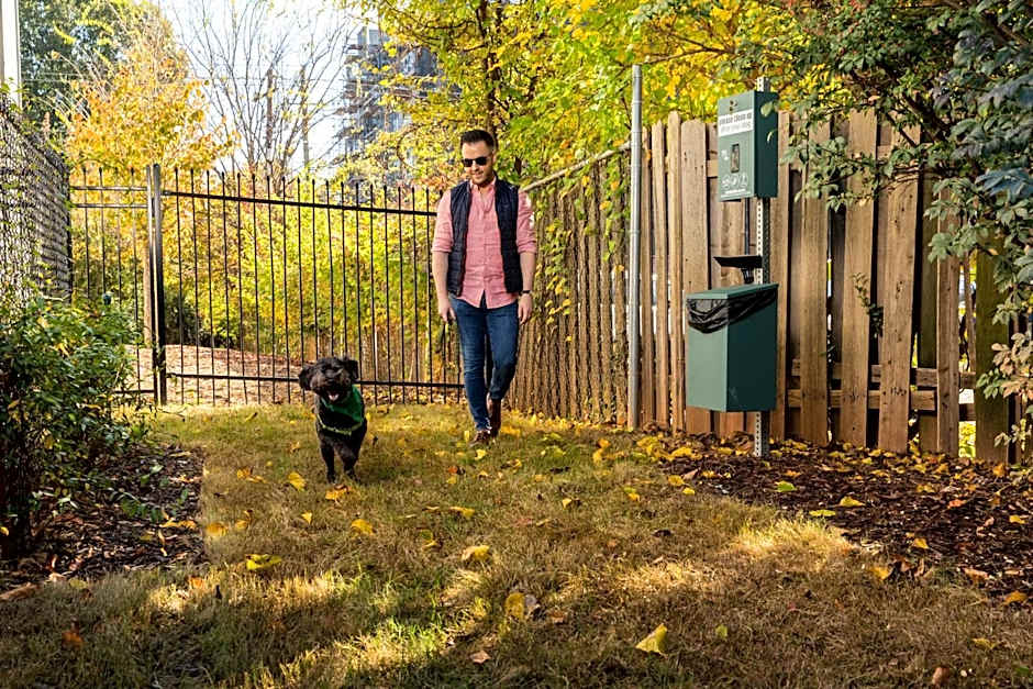 Voco The Darwin Atlanta Midtown By IHG