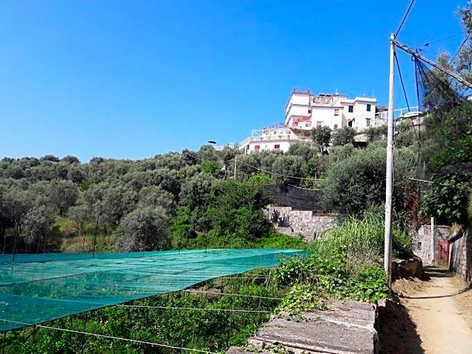Hotel Dania