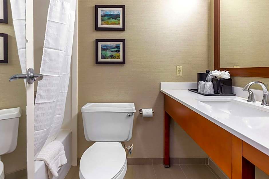 Comfort Inn University