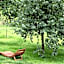 Am Paradies