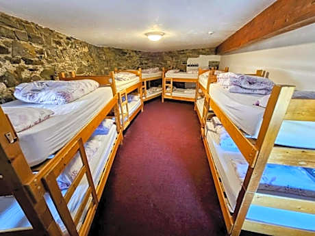 Bed in 10-Bed Mixed Dormitory Room