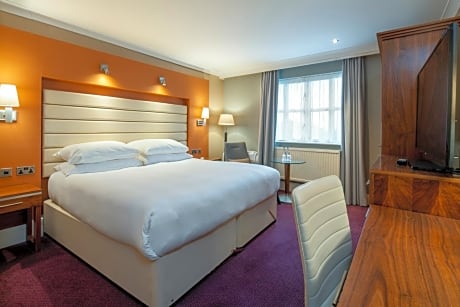 Deluxe Double Room - AP 5% 6-3 days non-refundable RO