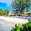 Bougainvillea Barbados