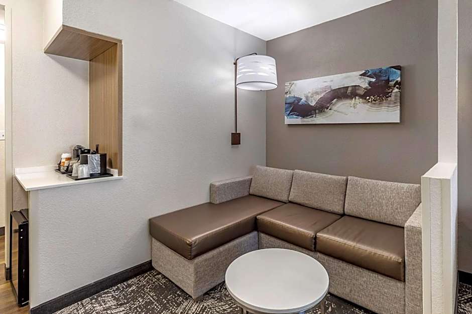 Comfort Suites Anderson-Clemson