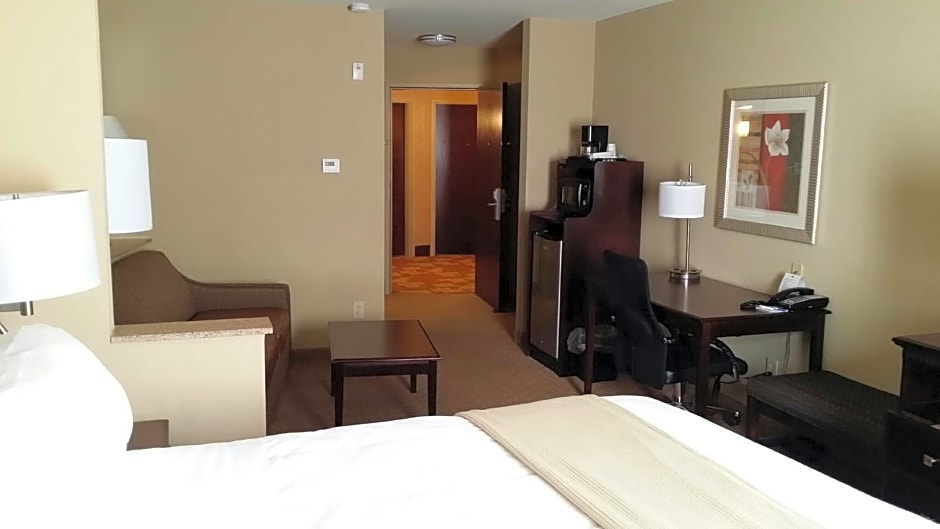 Comfort Suites Mobile-South Alabama University Area