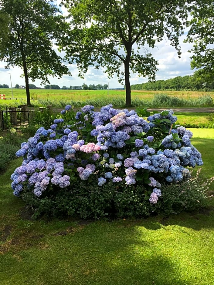 aan de Leijen