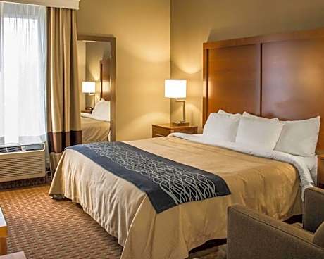 King Room with Roll-In Shower - Accessible/Non-Smoking