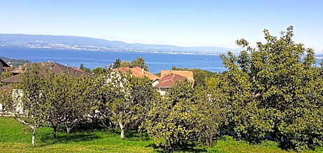 Double Room with Lake View