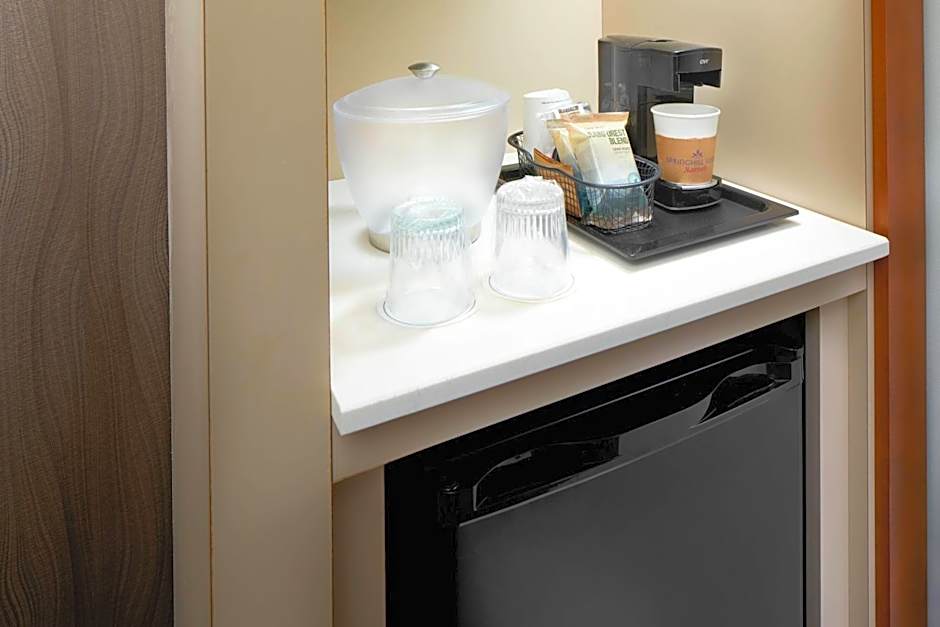 SpringHill Suites by Marriott Houston NASA/Webster