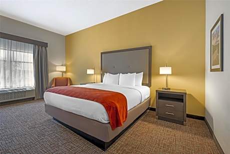 1 King Bed, Non-Smoking, Flat Screen Television, Work Desk, Refrigerator, High Speed Internet Access