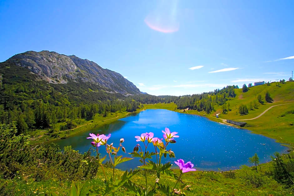 Appartements-Restaurant Schwaiger