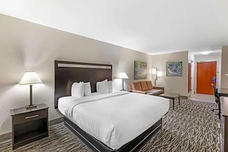 Best Western Plus McDonough Inn & Suites