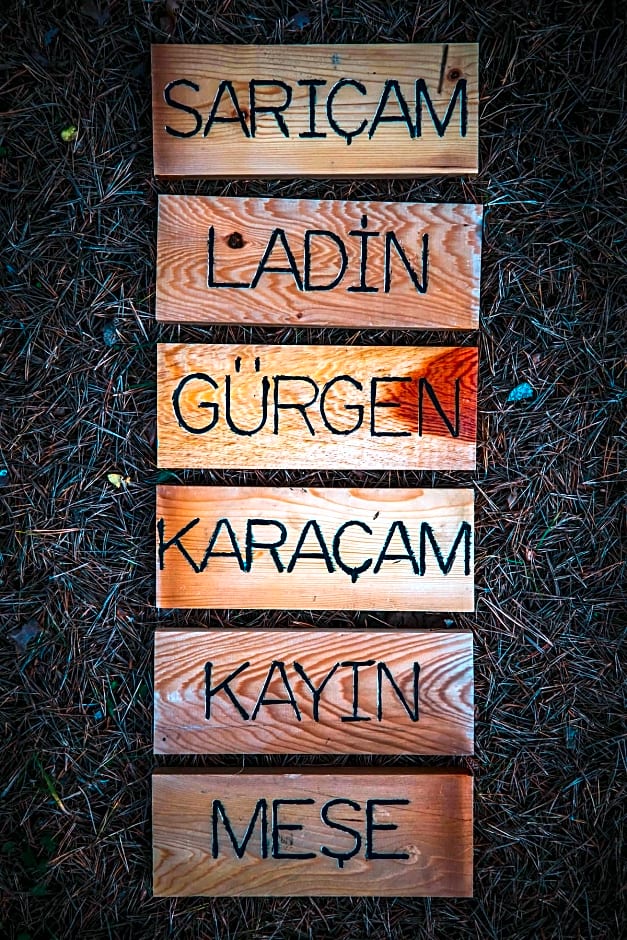 Poi Oberj Kartalkaya By Karpalas