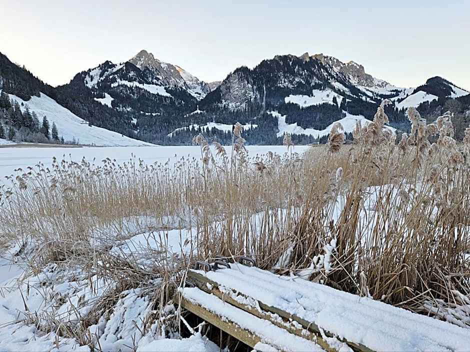 Pension fein & sein