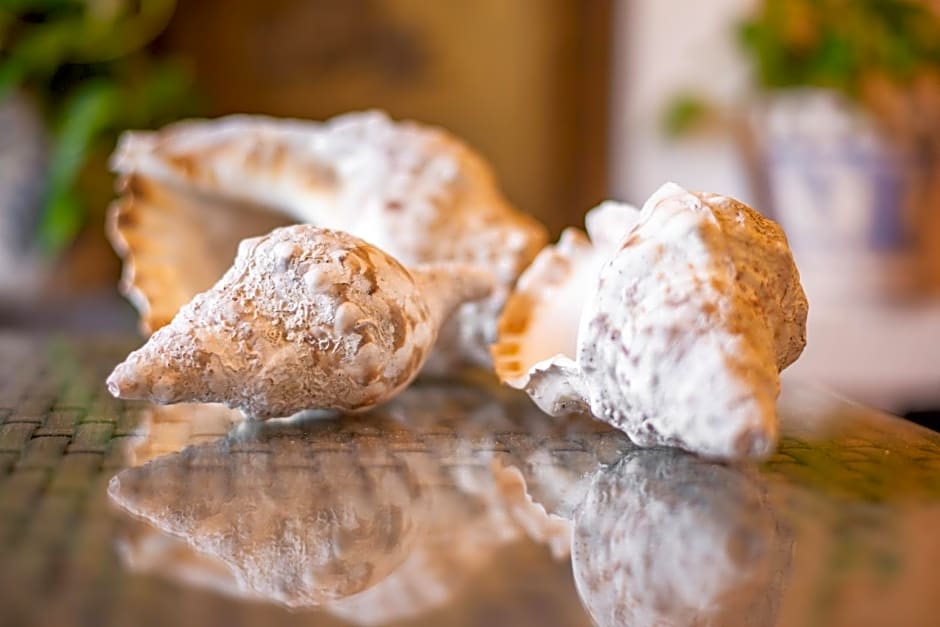 CASA INTI / INTI HOUSE FURNAS